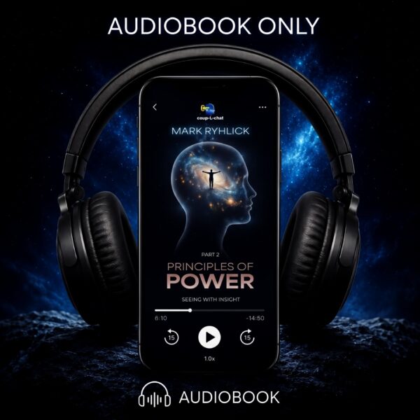 Principles of Power: Seeing with Insight Part 2 (Audiobook)
