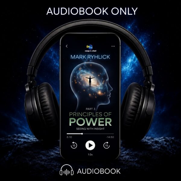 Principles of Power: Seeing with Insight Part 3 (Audiobook)