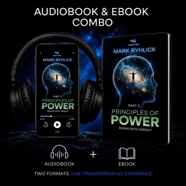 Principles of Power: Seeing with Insight Part 3 (Audiobook & eBook Combo)