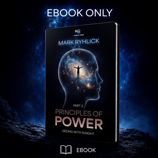 Principles of Power: Seeing with Insight Part 2 (eBook)